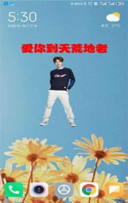 
桌面明星秀app