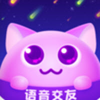 笨笨软件