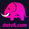 大象传媒视频dxtv6