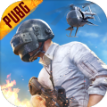 download android version下载安装下载,download android version体验服下载手机版2022 v2.4.0