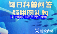 以下哪种植物有胎生现象