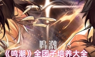 《鸣潮》全团子培养大全