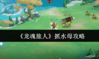 《龙魂旅人》抓水母攻略
