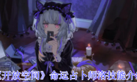 《开放空间》命运占卜师洛技能介绍