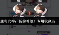 《胜利女神：新的希望》专用收藏品一览