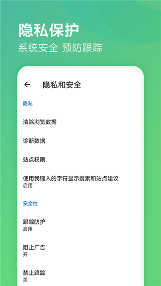 
Microsoft浏览器