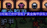 《阿彻威尔奇妙冒险》黄金胸甲获取方法