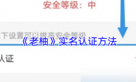 《老柚》实名认证方法