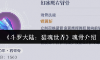 《斗罗大陆：猎魂世界》魂骨介绍