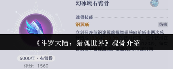 《斗罗大陆：猎魂世界》魂骨介绍