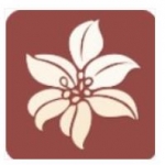 300百合会 官网版
