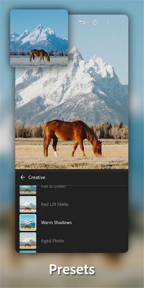 
lightroom 中文安卓免费版