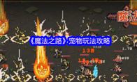 《魔法之路》宠物玩法攻略