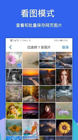 
Alook浏览器 2025最新正版