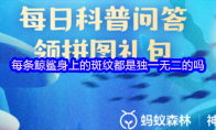 每条鲸鲨身上的斑纹都是独一无二的吗