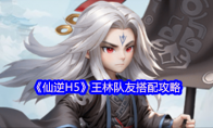 《仙逆H5》王林队友搭配攻略