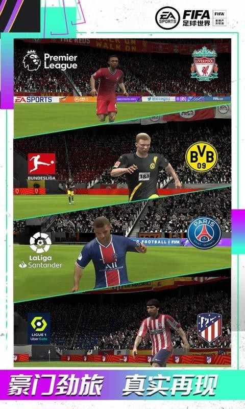 
FIFA足球世界 老版本