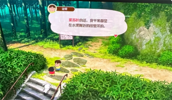 《蜡笔小新：煤炭镇的小白》紫苏叶获取方法