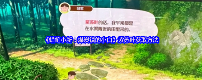 《蜡笔小新：煤炭镇的小白》紫苏叶获取方法