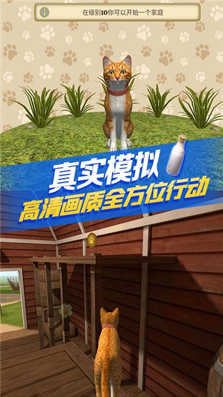 
猫咪生存模拟器 最新版