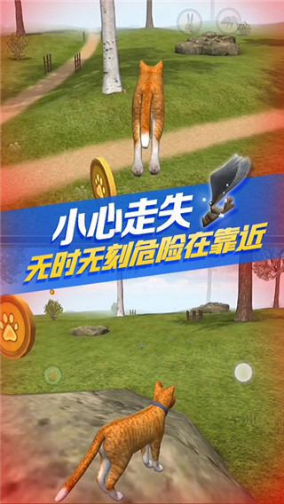 
猫咪生存模拟器 最新版