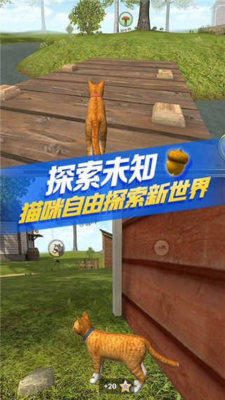 
猫咪生存模拟器 最新版