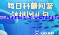 亚里士多德提灯是哪种海洋动物的摄食器官