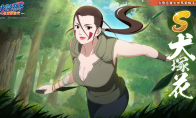 《火影忍者：忍者新世代》一族引以为傲的才女，非常聪明沉着！S忍犬塚花登场！