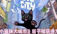 《小猫咪大城市》茄子帽获得方法