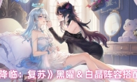 《永夜降临：复苏》黑曜＆白晶阵容搭配推荐