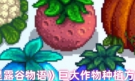 《星露谷物语》巨大作物种植方法
