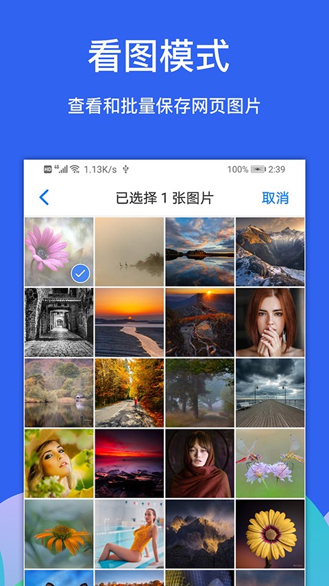 
Alook浏览器 最新版