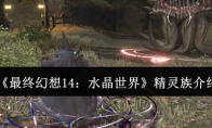 《最终幻想14：水晶世界》精灵族介绍