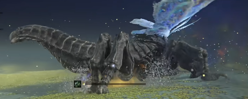 《艾尔登法环：黑夜君临》夜王慧心虫打法特点介绍