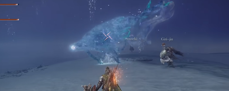 《艾尔登法环：黑夜君临》夜王预兆者水母打法特点介绍