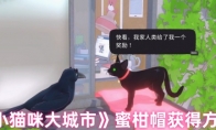 《小猫咪大城市》蜜柑帽获得方法