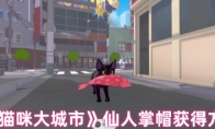 《小猫咪大城市》仙人掌帽获得方法