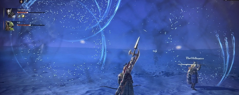 《艾尔登法环：黑夜君临》打蝗灾技巧分享
