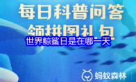 世界鲸鲨日是在哪一天
