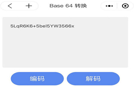 1608733117323337.jpg 5.jpg