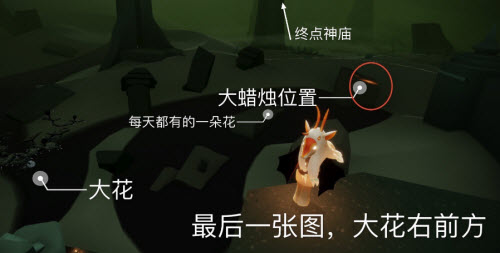 《光遇》6月7日大蜡烛位置一览2022