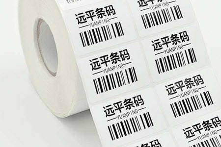 杨思恬证件照.jpg