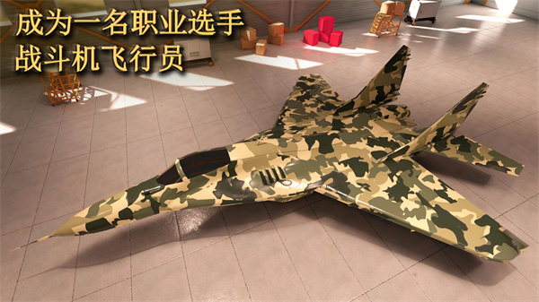 
喷气式空袭任务3D