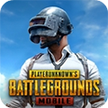 pubg国际服 官网下载入口最新版本