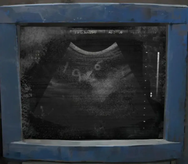 纸嫁衣8 官方正版游戏入口(图11)