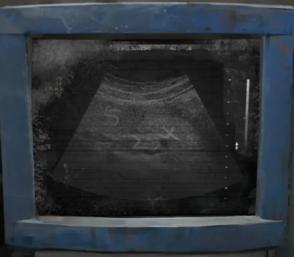 纸嫁衣8 官方正版游戏入口(图12)