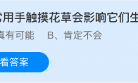 经常用手触摸花草会影响它们生长吗