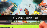 《远光84》捉宠介绍