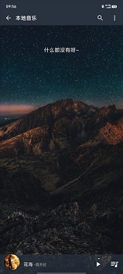 速悦音乐 app官方最新版(图4)