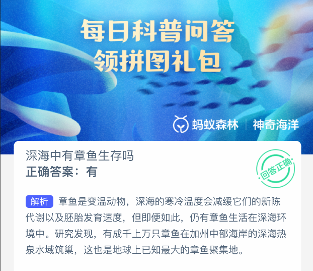 深海中有章鱼生存吗(图2)